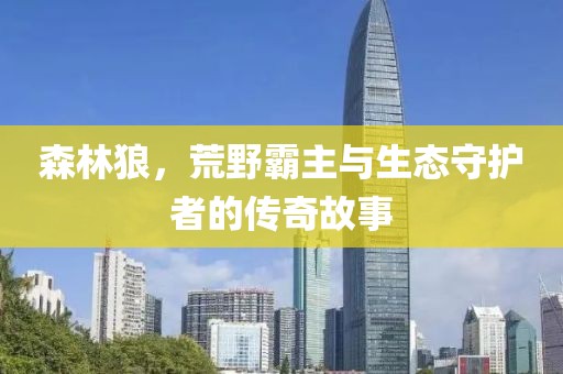 妃墨 第30页