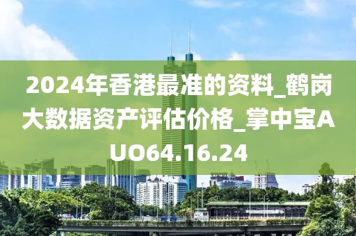 2024年香港最准的资料_鹤岗大数据资产评估价格_掌中宝AUO64.16.24