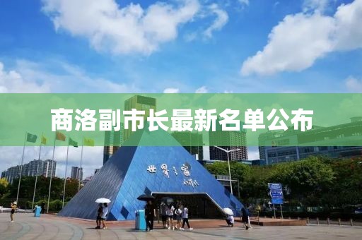 商洛副市长最新名单公布