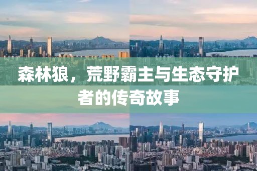 森林狼，荒野霸主与生态守护者的传奇故事