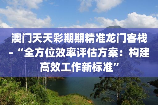 澳门天天彩期期精准龙门客栈-“全方位效率评估方案：构建高效工作新标准”