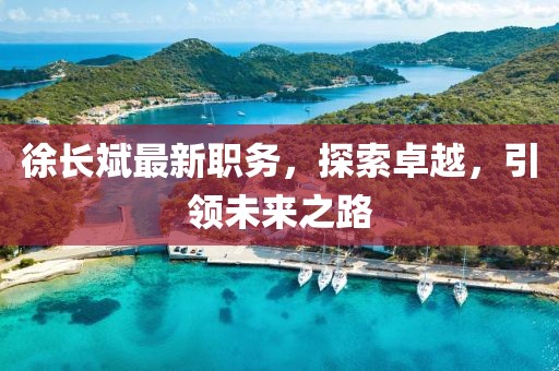 徐长斌最新职务，探索卓越，引领未来之路