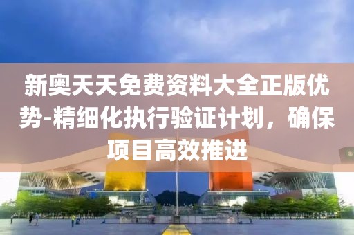 新奥天天免费资料大全正版优势-精细化执行验证计划，确保项目高效推进