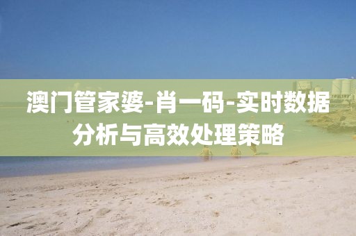 澳门管家婆-肖一码-实时数据分析与高效处理策略