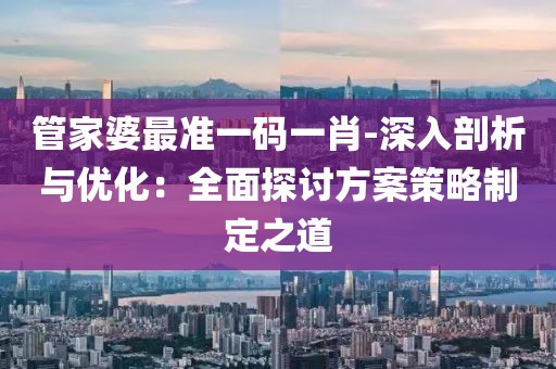 管家婆最准一码一肖-深入剖析与优化：全面探讨方案策略制定之道