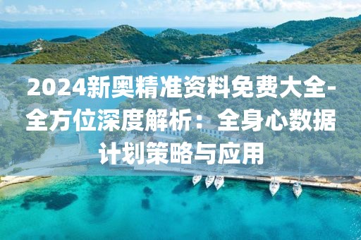 2024新奥精准资料免费大全-全方位深度解析：全身心数据计划策略与应用