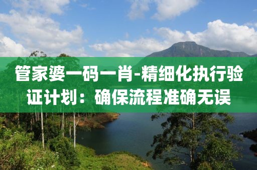 管家婆一码一肖-精细化执行验证计划：确保流程准确无误