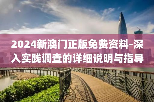 2024新澳门正版免费资料-深入实践调查的详细说明与指导