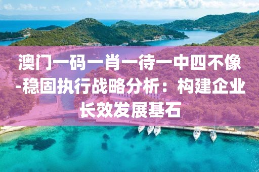 澳门一码一肖一待一中四不像-稳固执行战略分析：构建企业长效发展基石