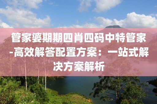 管家婆期期四肖四码中特管家-高效解答配置方案：一站式解决方案解析