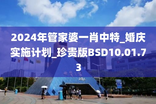 2024年管家婆一肖中特_婚庆实施计划_珍贵版BSD10.01.73
