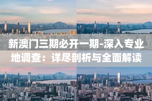 新澳门三期必开一期-深入专业地调查：详尽剖析与全面解读