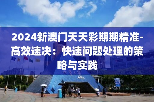 2024新澳门天天彩期期精准-高效速决：快速问题处理的策略与实践