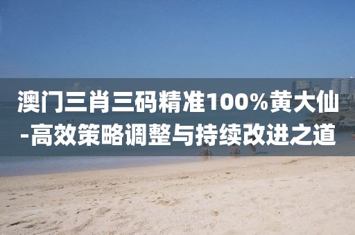 澳门三肖三码精准100%黄大仙-高效策略调整与持续改进之道