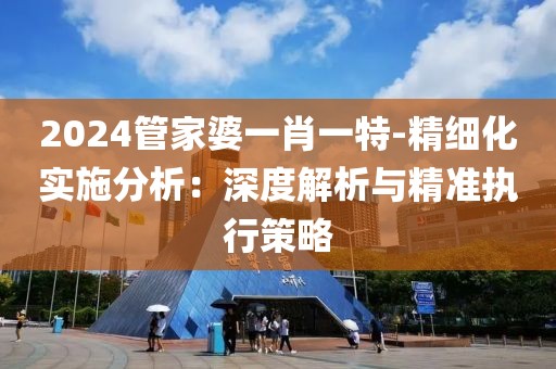 2024管家婆一肖一特-精细化实施分析：深度解析与精准执行策略