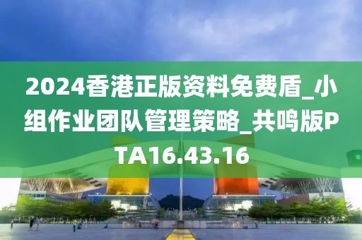 2024香港正版资料免费盾_小组作业团队管理策略_共鸣版PTA16.43.16