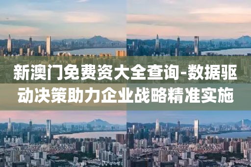 新澳门免费资大全查询-数据驱动决策助力企业战略精准实施