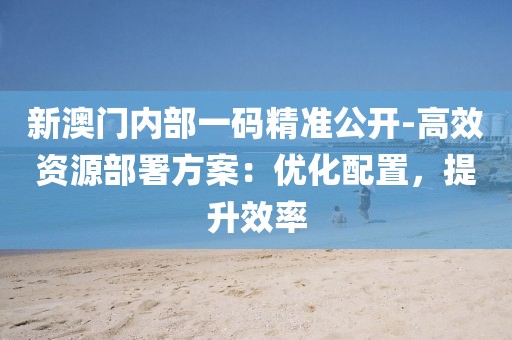 新澳门内部一码精准公开-高效资源部署方案：优化配置，提升效率