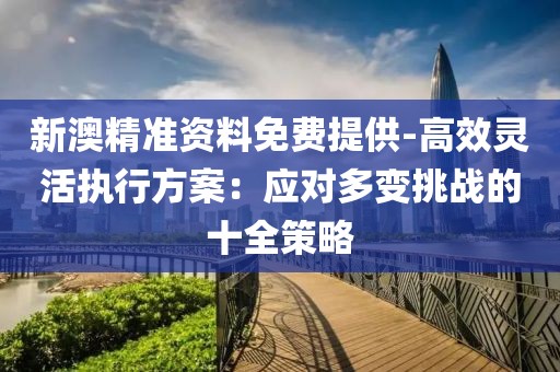 新澳精准资料免费提供-高效灵活执行方案：应对多变挑战的十全策略
