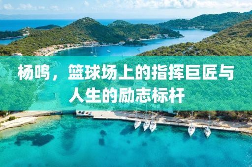 杨鸣，篮球场上的指挥巨匠与人生的励志标杆