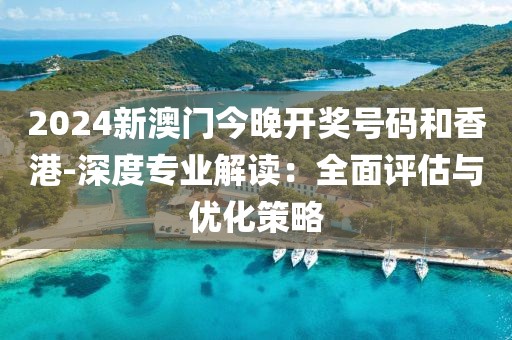 2024新澳门今晚开奖号码和香港-深度专业解读：全面评估与优化策略