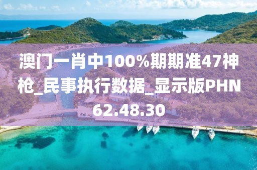澳门一肖中100%期期准47神枪_民事执行数据_显示版PHN62.48.30