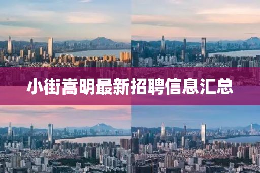 小街嵩明最新招聘信息汇总