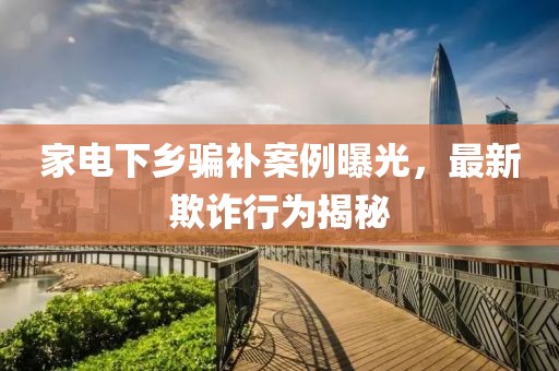 家电下乡骗补案例曝光，最新欺诈行为揭秘
