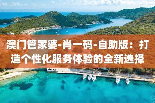 澳门管家婆-肖一码-自助版：打造个性化服务体验的全新选择