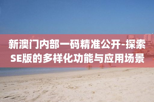 新澳门内部一码精准公开-探索SE版的多样化功能与应用场景