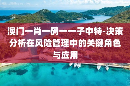 澳门一肖一码一一子中特-决策分析在风险管理中的关键角色与应用