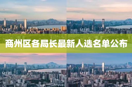 商州区各局长最新人选名单公布
