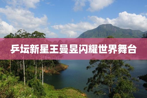 乒坛新星王曼昱闪耀世界舞台