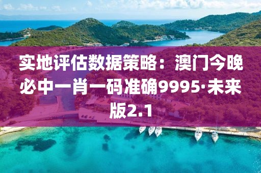 实地评估数据策略：澳门今晚必中一肖一码准确9995·未来版2.1