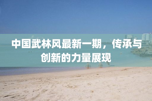 中国武林风最新一期，传承与创新的力量展现