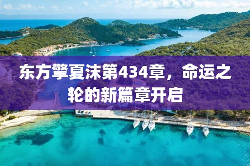 东方擎夏沫第434章，命运之轮的新篇章开启