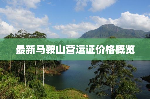 最新马鞍山营运证价格概览