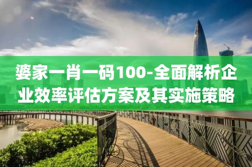 婆家一肖一码100-全面解析企业效率评估方案及其实施策略