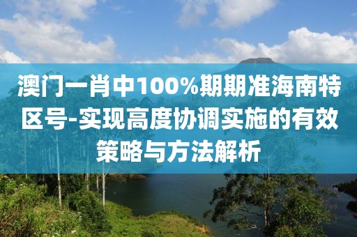 澳门一肖中100%期期准海南特区号-实现高度协调实施的有效策略与方法解析