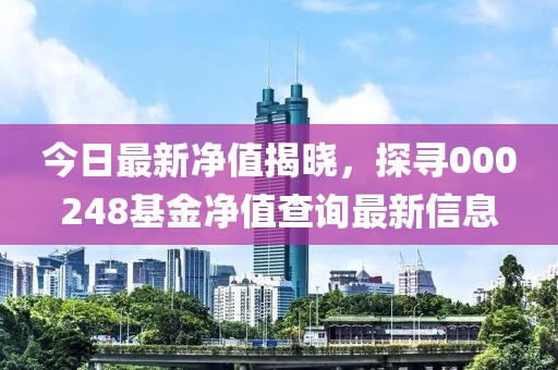 今日最新净值揭晓，探寻000248基金净值查询最新信息