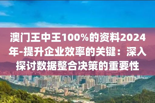 澳门王中王100%的资料2024年-提升企业效率的关键：深入探讨数据整合决策的重要性