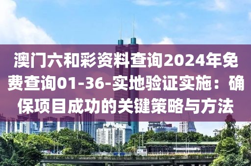 澳门六和彩资料查询2024年免费查询01-36-实地验证实施：确保项目成功的关键策略与方法