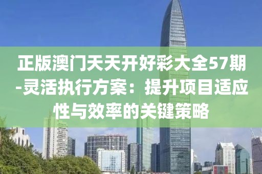 正版澳门天天开好彩大全57期-灵活执行方案：提升项目适应性与效率的关键策略