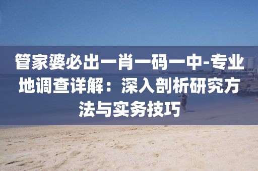 管家婆必出一肖一码一中-专业地调查详解：深入剖析研究方法与实务技巧