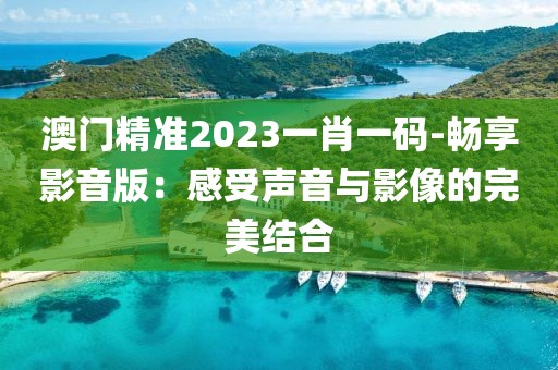澳门精准2023一肖一码-畅享影音版：感受声音与影像的完美结合