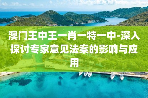 澳门王中王一肖一特一中-深入探讨专家意见法案的影响与应用
