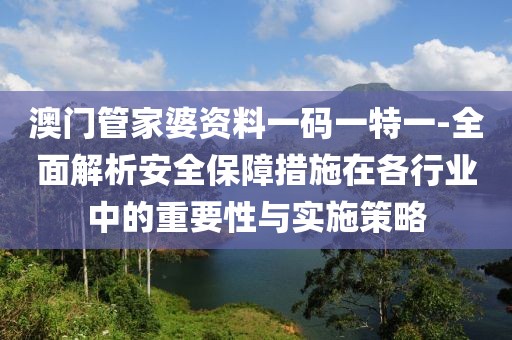 澳门管家婆资料一码一特一-全面解析安全保障措施在各行业中的重要性与实施策略