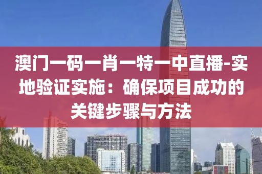 澳门一码一肖一特一中直播-实地验证实施：确保项目成功的关键步骤与方法