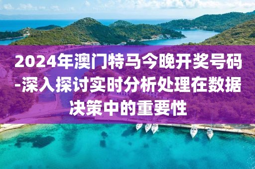 2024年澳门特马今晚开奖号码-深入探讨实时分析处理在数据决策中的重要性