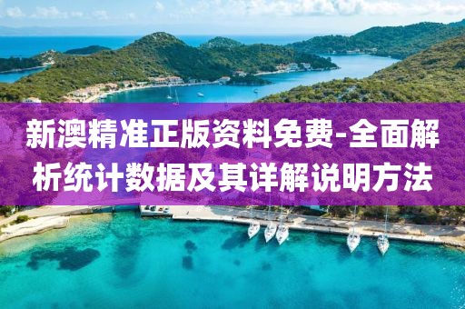 新澳精准正版资料免费-全面解析统计数据及其详解说明方法
